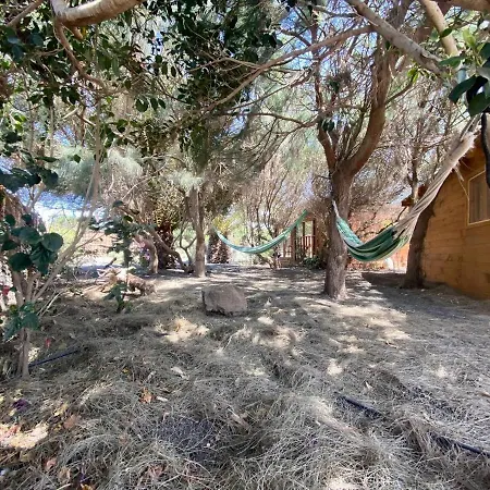 Cabana En Plena Naturaleza *