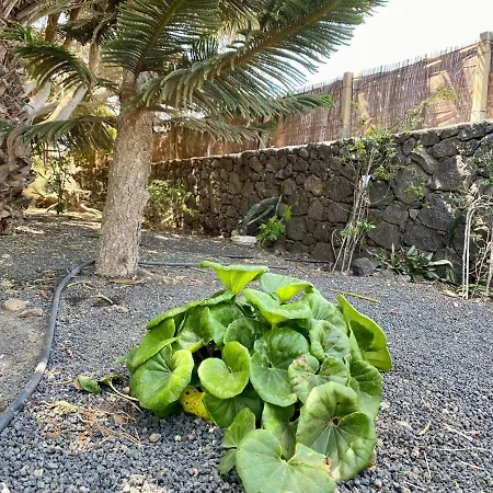 Cabana En Plena Naturaleza مكان تخييم *