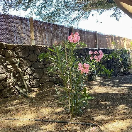 Кемпинг Cabana En Plena Naturaleza