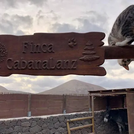 Cabana En Plena Naturaleza *